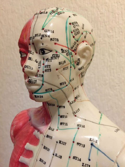 acupuncture doll meridian head